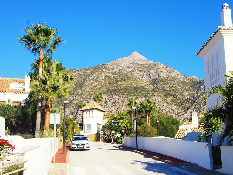 Villa for Sale in Istán, Malaga 14