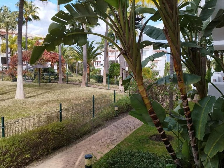 Apartment for Sale in Selwo, Malaga 11