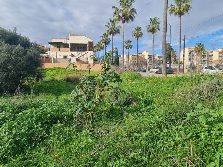 Plot for Sale in Campo Mijas, Malaga 1