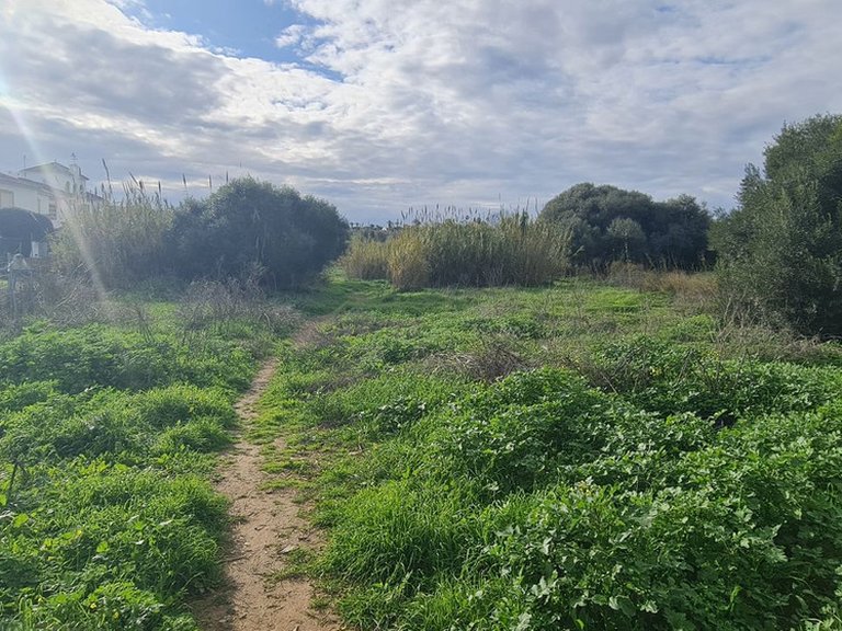 Plot for Sale in Campo Mijas, Malaga 3