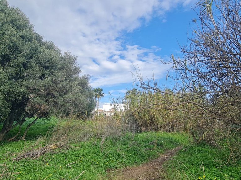 Plot for Sale in Campo Mijas, Malaga 4