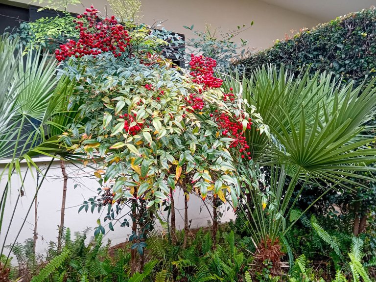 Villa for Sale in Manilva, Malaga 2
