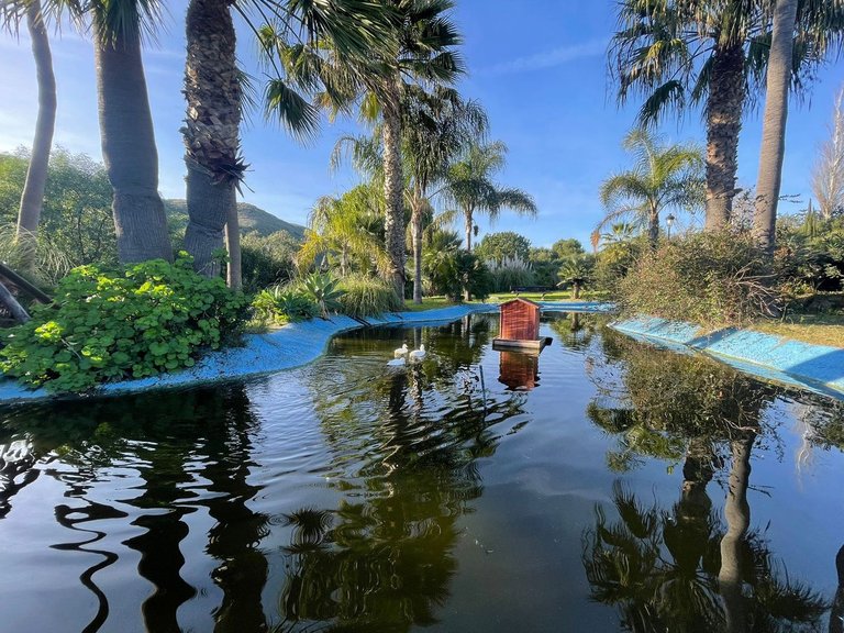 Villa for Sale in Manilva, Malaga 62