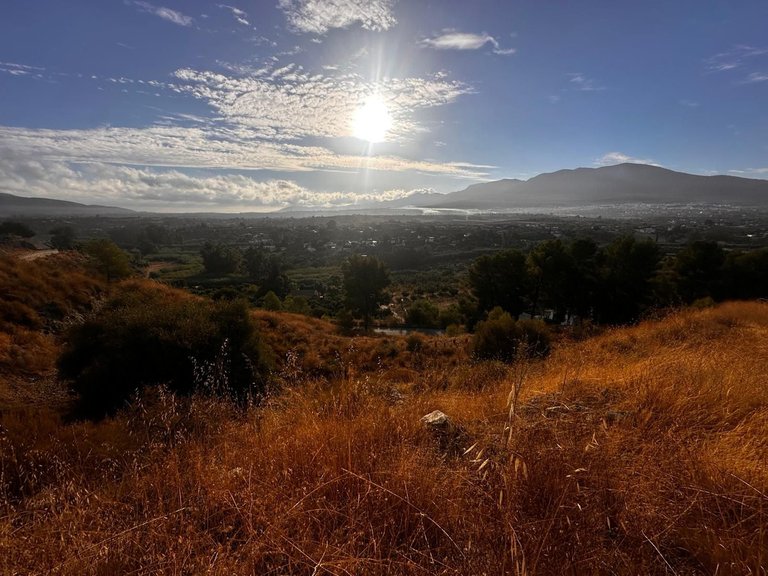 Plot for Sale in Alhaurín El Grande, Malaga 8
