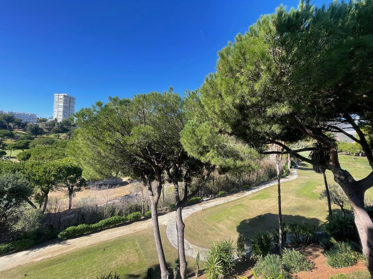 Apartment for Sale in Río Real, Malaga 10