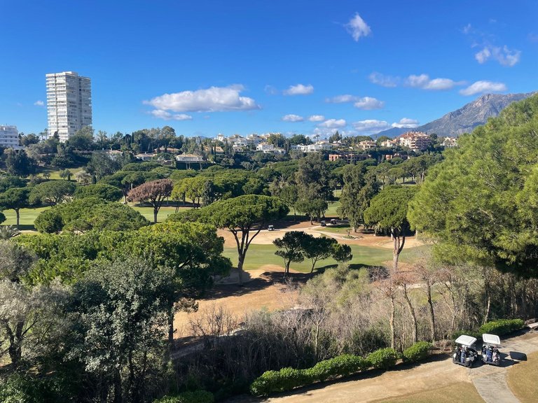 Apartment for Sale in Río Real, Malaga 11
