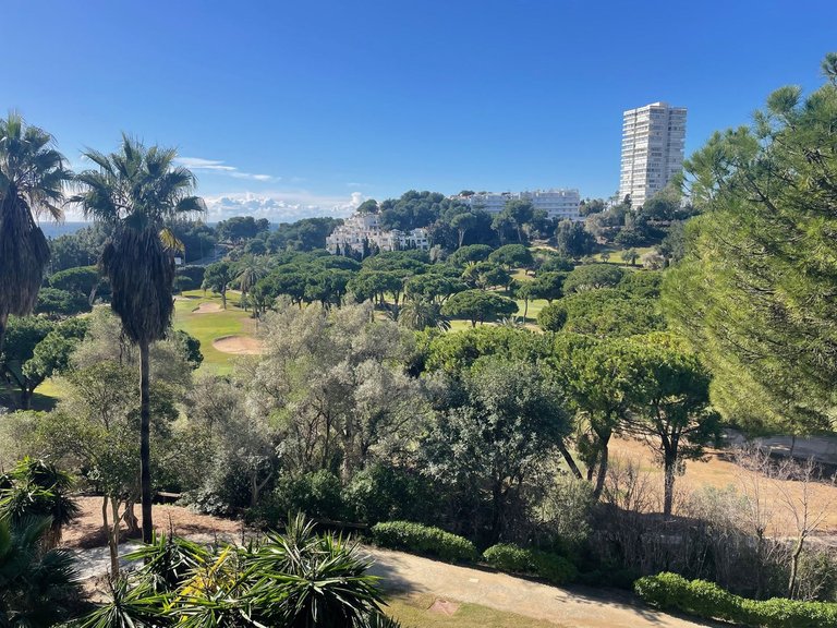 Apartment for Sale in Río Real, Malaga 9