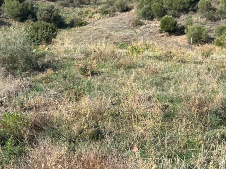 Plot for Sale in Valle Romano, Malaga 9
