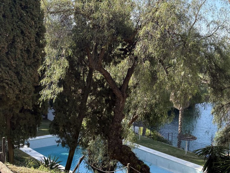 Apartment for Sale in La Quinta, Malaga 16