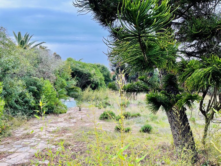 Plot for Sale in Estepona, Malaga 1