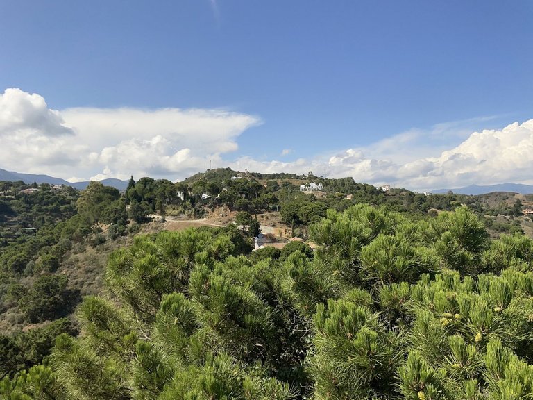 Villa for Sale in Estepona, Malaga 35