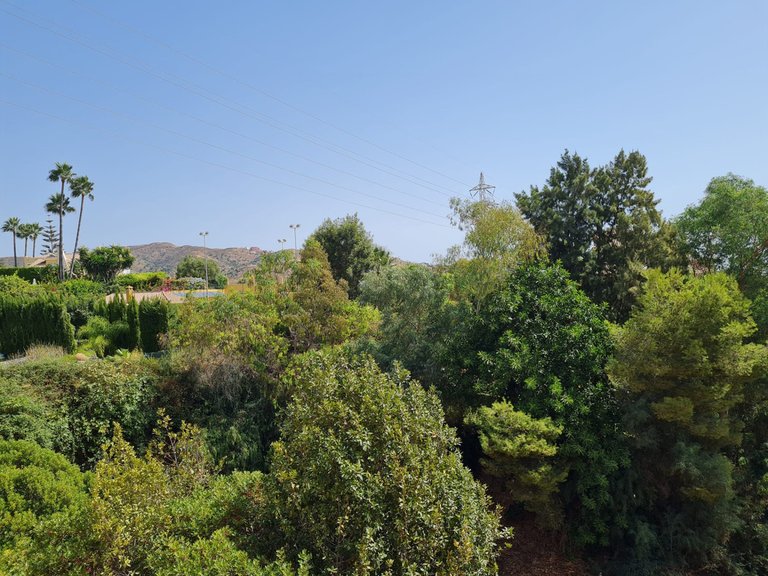 Plot for Sale in Hacienda Las Chapas, Malaga 4