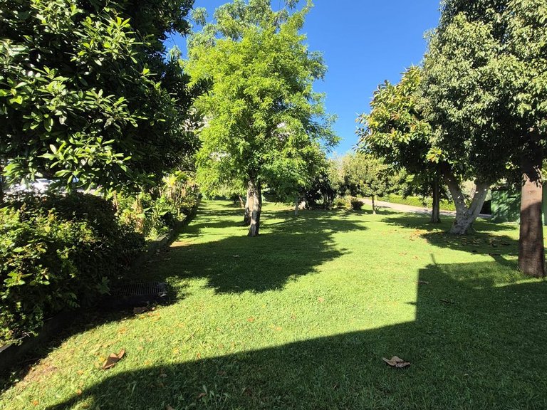 Apartment for Sale in Estepona, Malaga 22