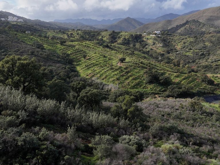 Plot for Sale in La Cala Golf, Malaga 10
