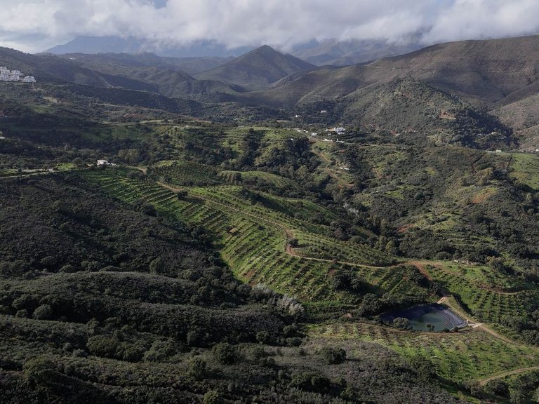 Plot for Sale in La Cala Golf, Malaga 11