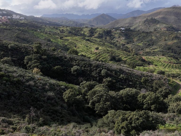 Plot for Sale in La Cala Golf, Malaga 8