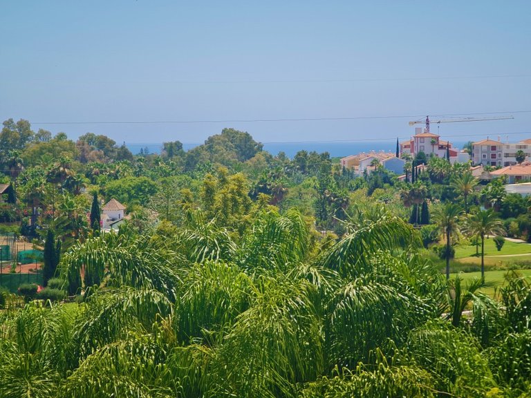 Apartment for Sale in New Golden Mile, Malaga 14