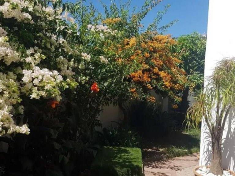Villa for Sale in Estepona, Malaga 10
