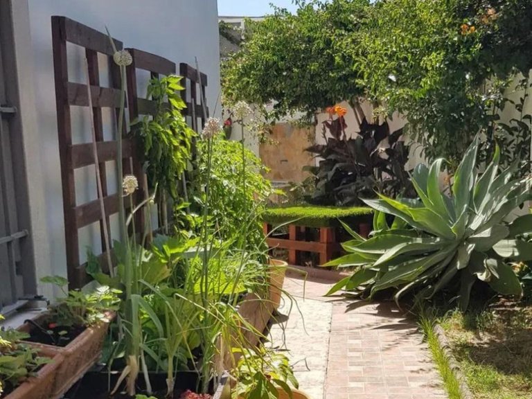 Villa for Sale in Estepona, Malaga 29