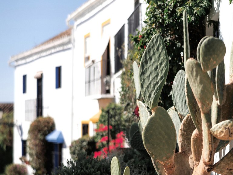 Villa for Sale in Nueva Andalucía, Malaga 41