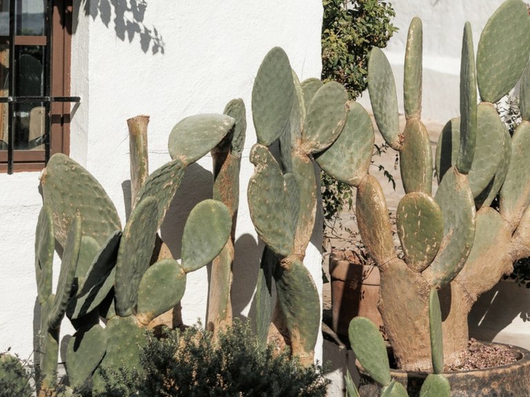 Villa for Sale in Nueva Andalucía, Malaga 42