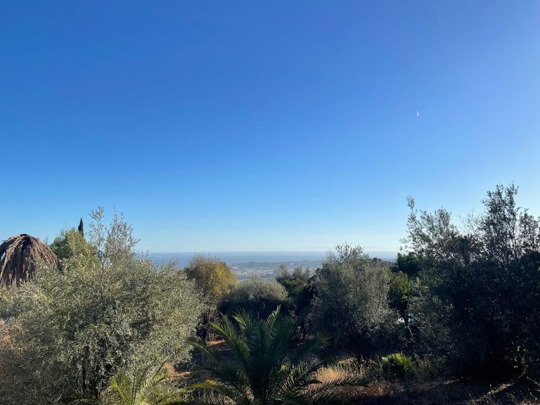 Plot for Sale in Mijas, Malaga 3