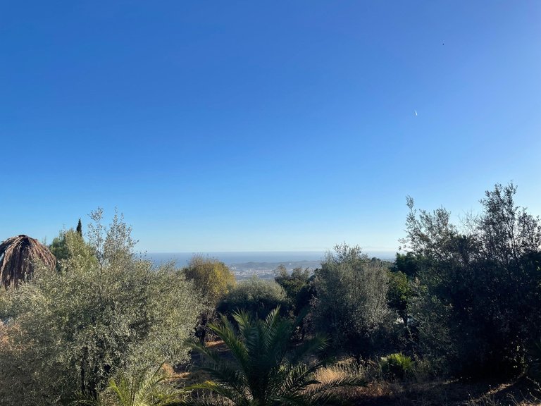 Plot for Sale in Mijas, Malaga 4