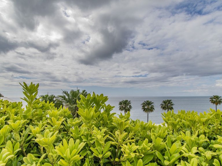 Apartment for Sale in Estepona, Malaga 17