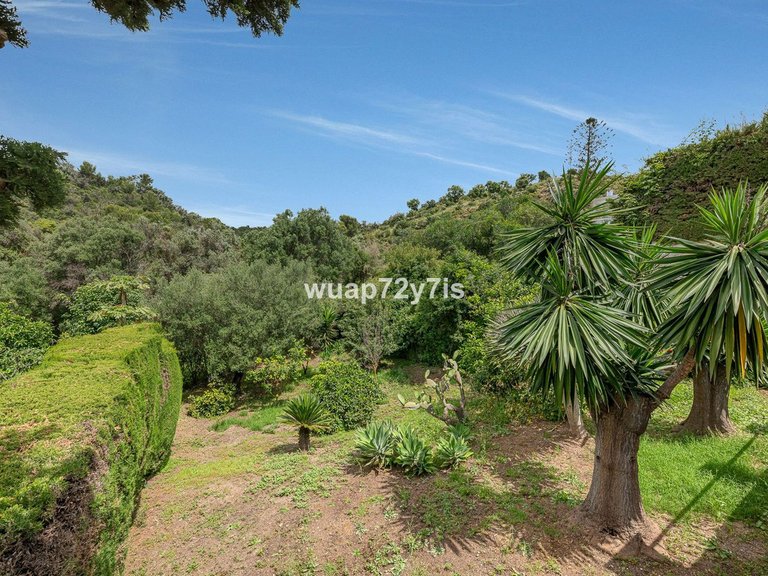 Villa for Sale in El Rosario, Malaga 44