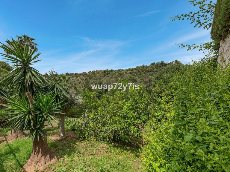 Villa for Sale in El Rosario, Malaga 45