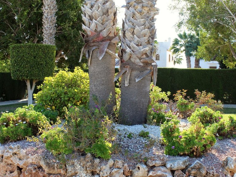 Apartment for Sale in Villamartin, Alicante 33