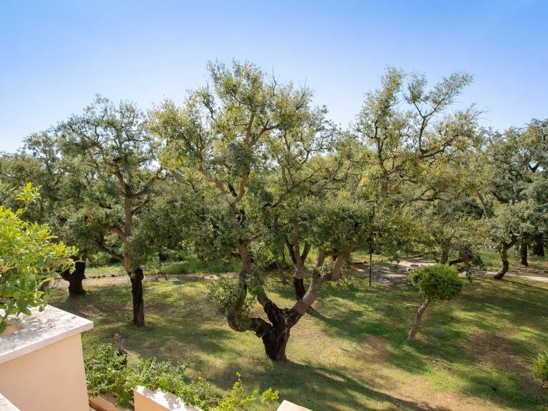 Apartment for Sale in Elviria, Malaga 11