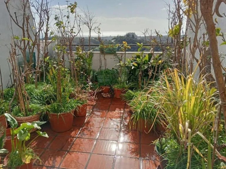 Apartment for Sale in Estepona, Malaga 1