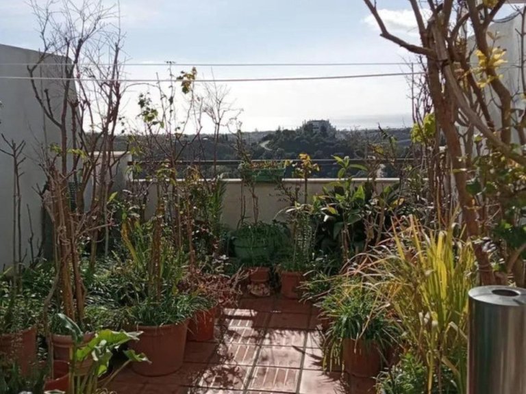 Apartment for Sale in Estepona, Malaga 14