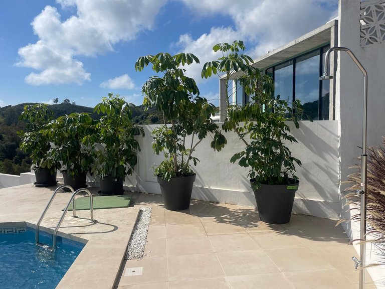 Villa for Sale in Cerros Del Aguila, Malaga 10