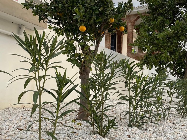 Villa for Sale in Cerros Del Aguila, Malaga 102