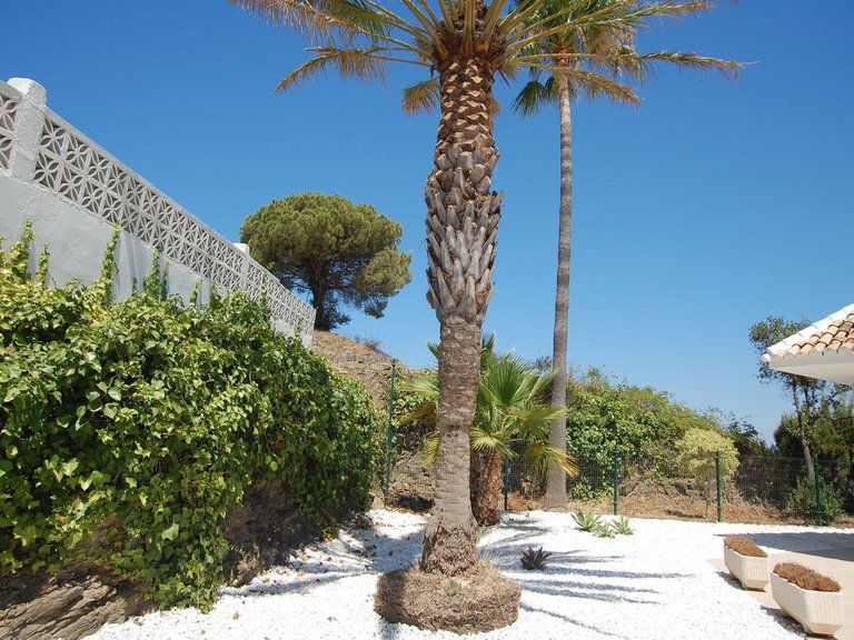 Villa for Sale in Cerros Del Aguila, Malaga 66