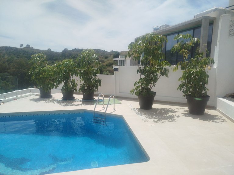 Villa for Sale in Cerros Del Aguila, Malaga 9