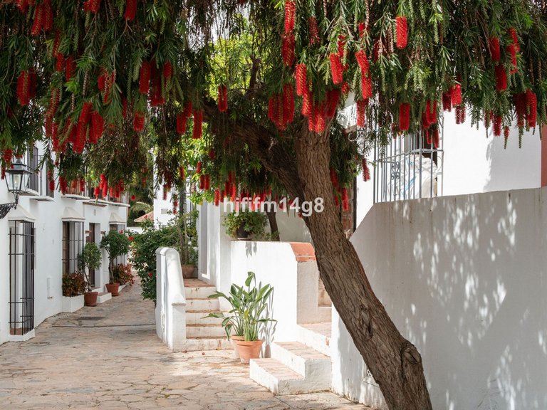 Villa for Sale in The Golden Mile, Malaga 36