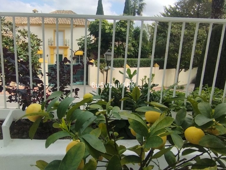 Apartment for Sale in Marbella, Malaga 40