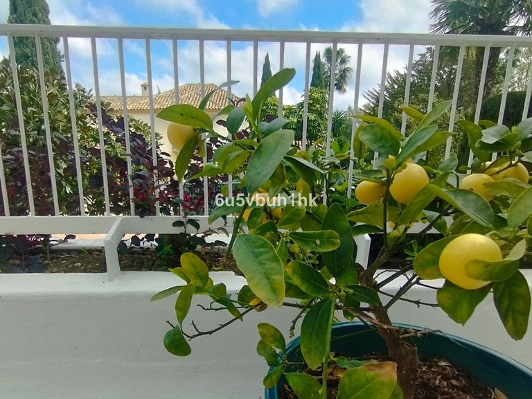 Apartment for Sale in Marbella, Malaga 7