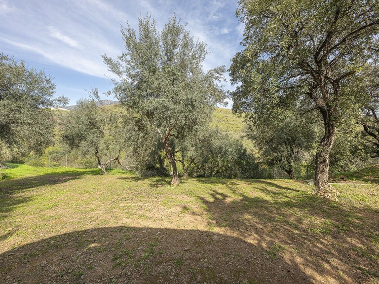 Villa for Sale in Mijas Golf, Malaga 106