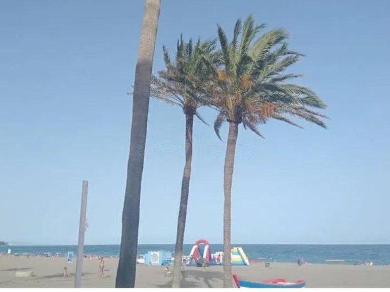 Apartment for Sale in Estepona, Malaga 7