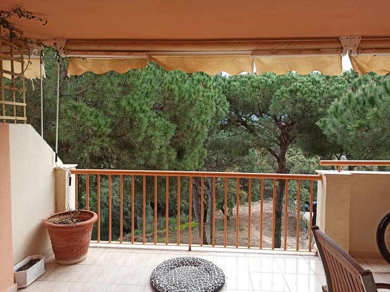 Apartment for Sale in Calahonda, Malaga 26