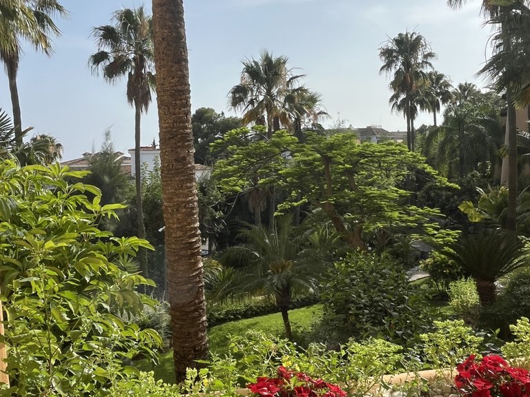 Apartment for Sale in The Golden Mile, Malaga 23