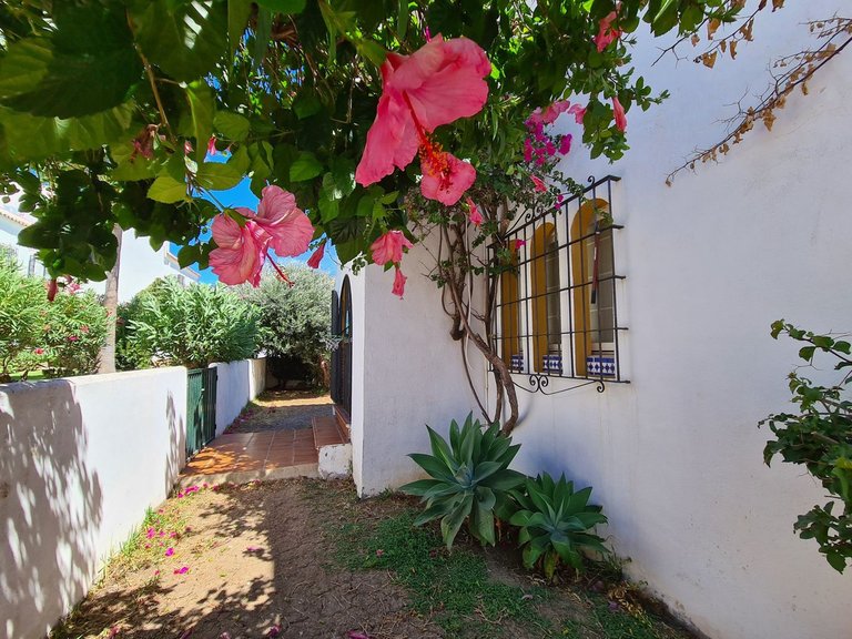 Villa for Sale in Casares Playa, Malaga 24