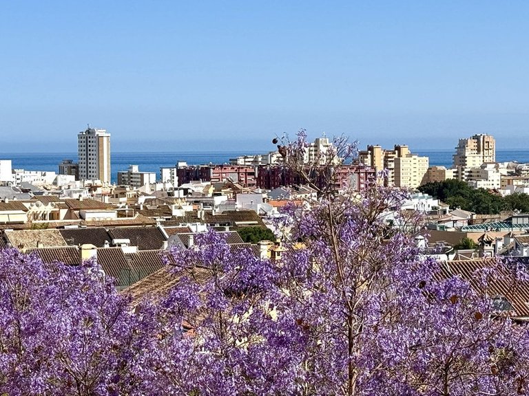 Apartment for Sale in Los Pacos, Malaga 1