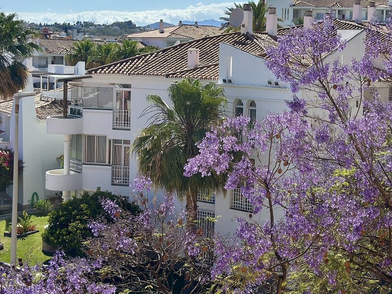 Apartment for Sale in Los Pacos, Malaga 4