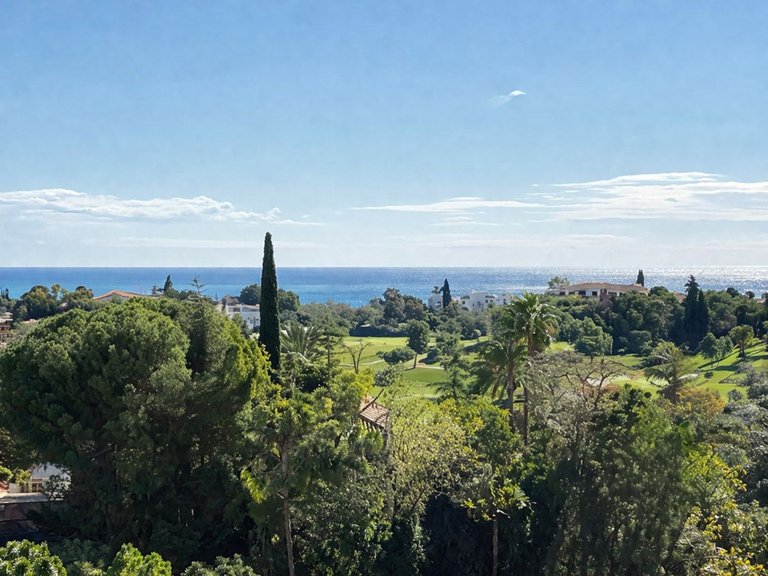 Villa for Sale in Benahavís, Malaga 3