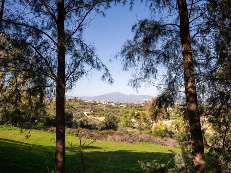 Villa for Sale in Alhaurín De La Torre, Malaga 5